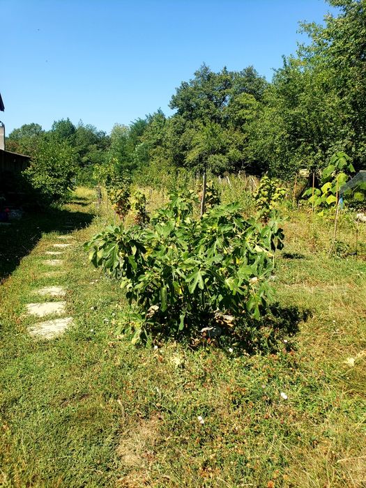 Vand casa aproape de oraș.
