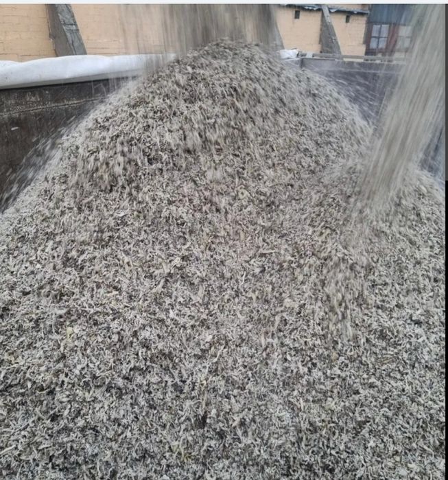 Borhot    - sfecla furaje