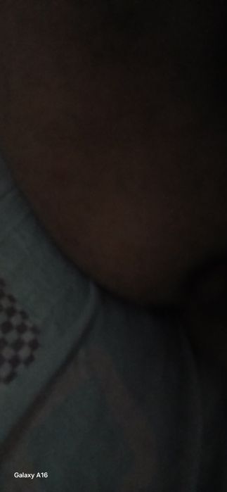 Даром даром даром кошка