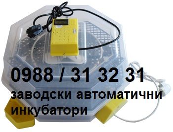 Автоматичен заводски инкубатор КЛЕО 5. Инкубатори за пилета CLEO 5