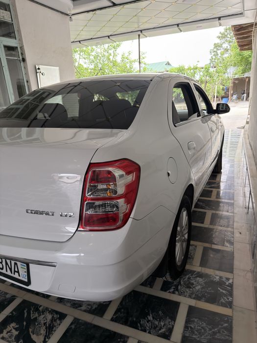 Other Cobalt 2024 — 6