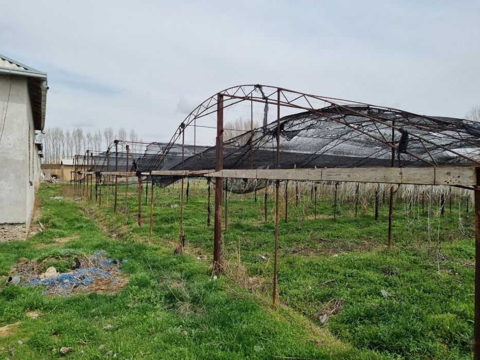 Участок с фермой