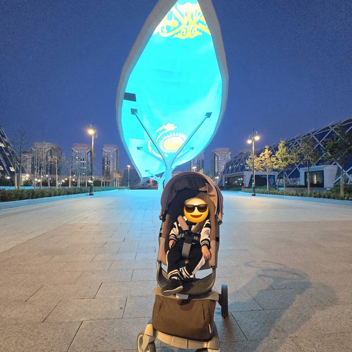 Продам коляску STOKKE XPLORY V5

BROWN 2 B 1