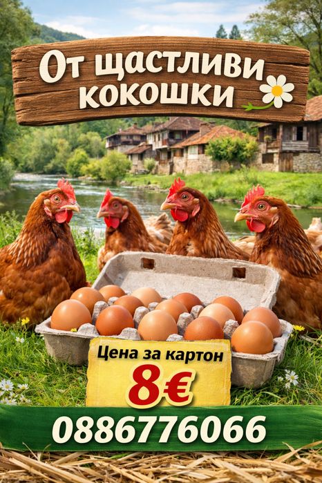 Пресни Домашни Яйца