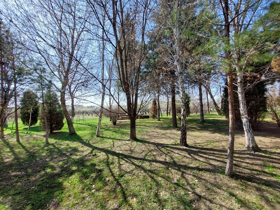 Кибрай! Продаётся 8 гектаров вдоль дороги под любой бизнес