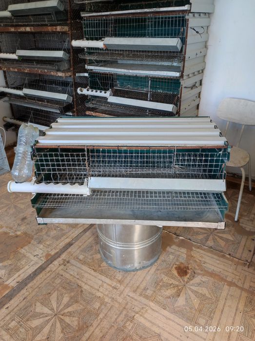 Клетки для перепелов