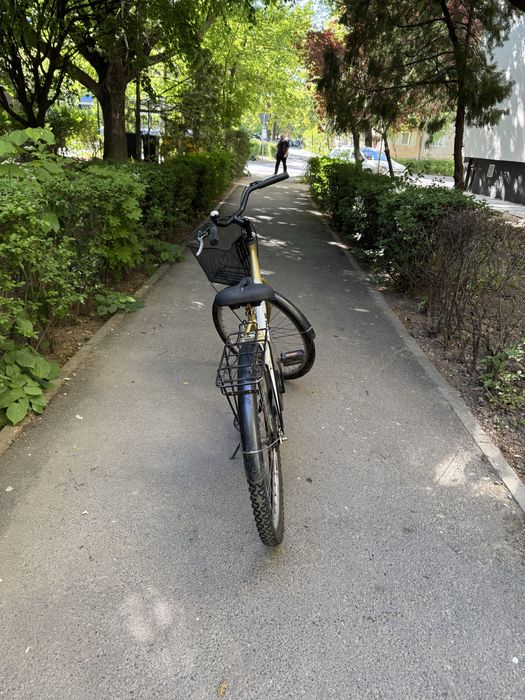Vand urgent bicicleta dama