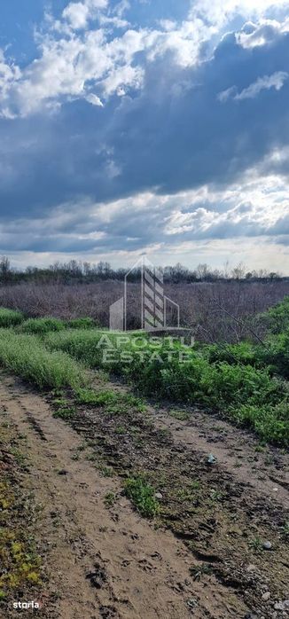 Teren intravilan , curent , apa , nr de casa Sacosu Turcesc
