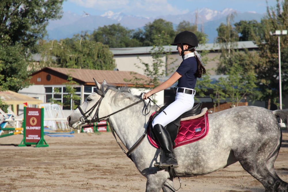 сапоги для конного спорта