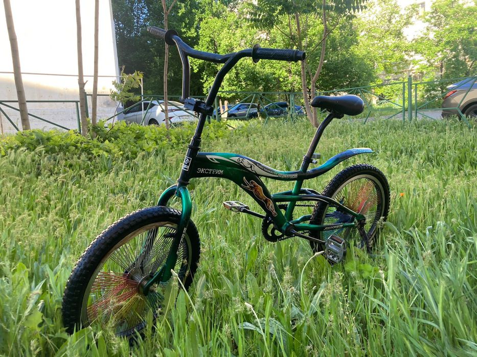 Велик , нормальный