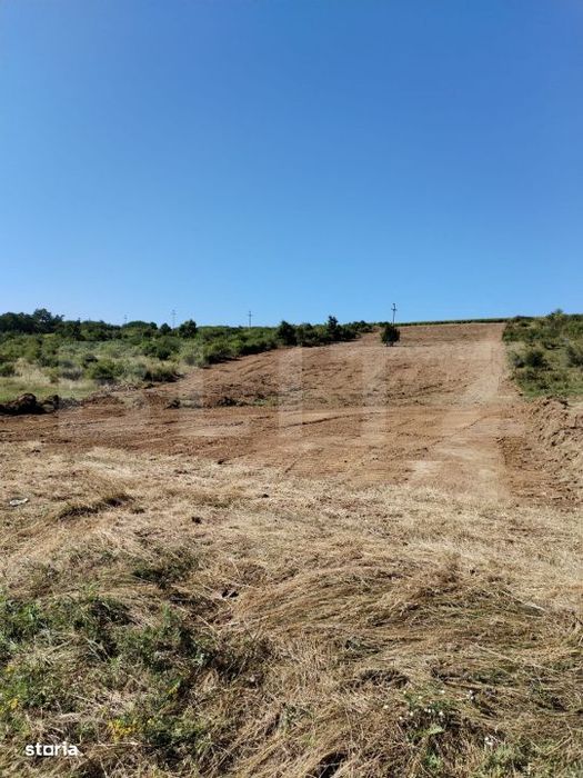 Teren 10.000 mp, cu PUZ aprobat , Sorogari-Moara de Vant- Spital Urgen