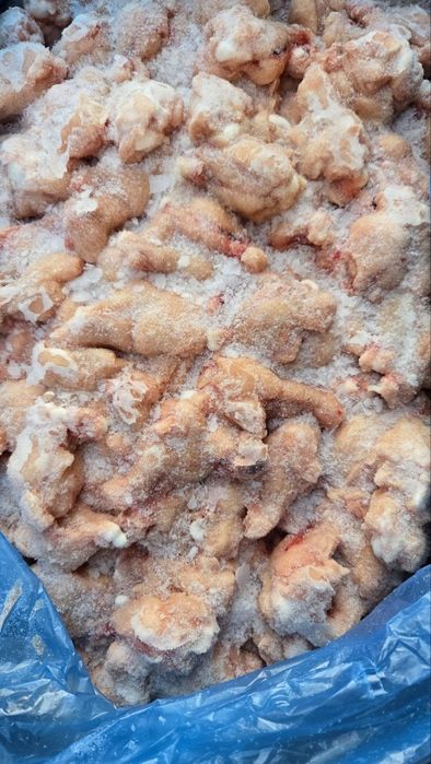 Мясо циплят.Окорочок.Плечо .Крыло.