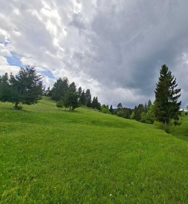 Teren pentru investitii in zona montana
