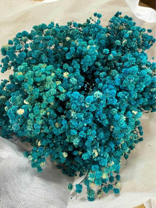 Сух гипсофил - 400 грама