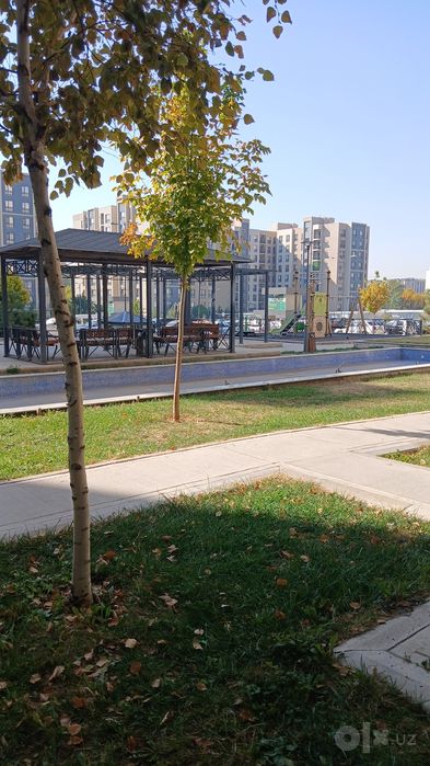 O'qidigan yoki ishlidigan qizlaga kvartira