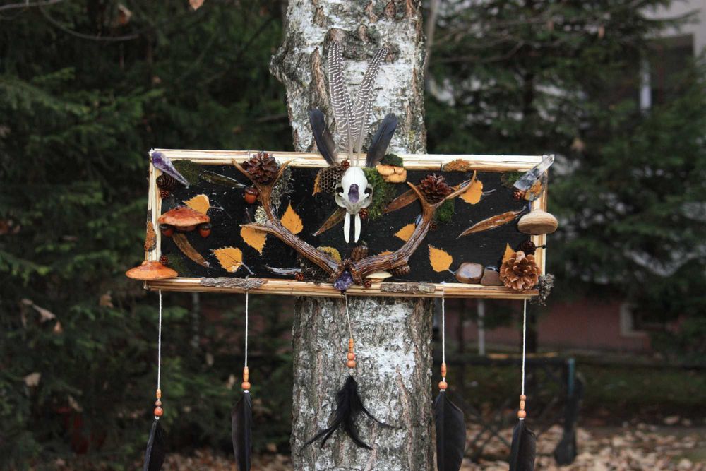 Tablouri Naturale / Cadou / Lichenii / Mușchi