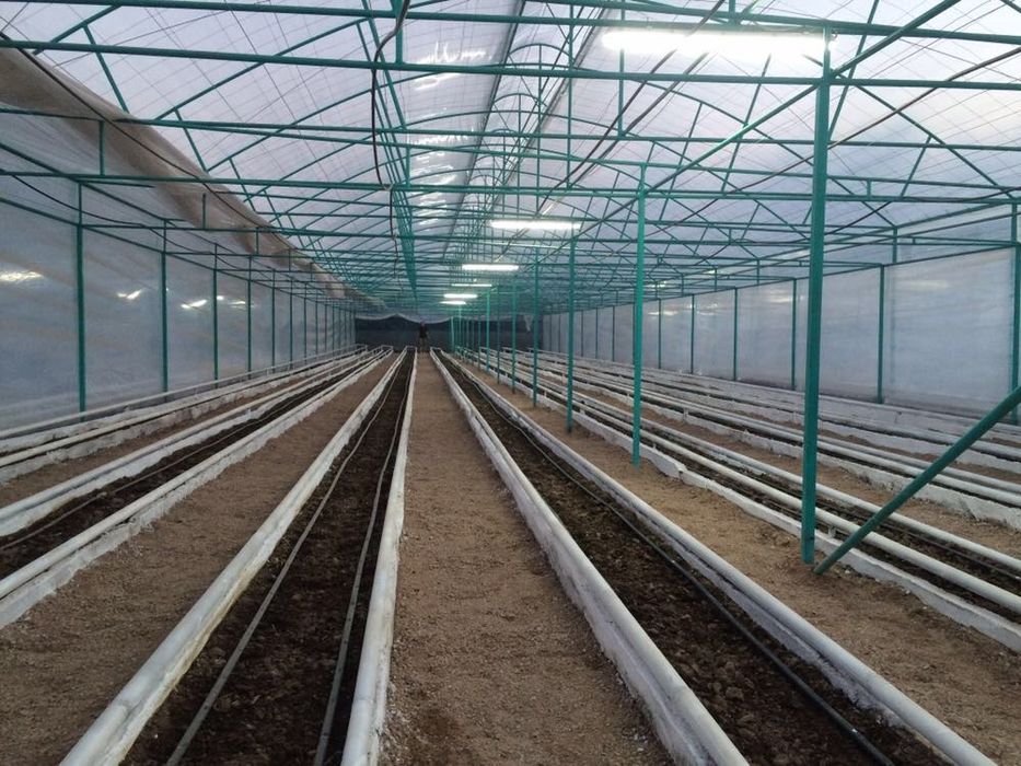 Строительство Тепличных комплексов