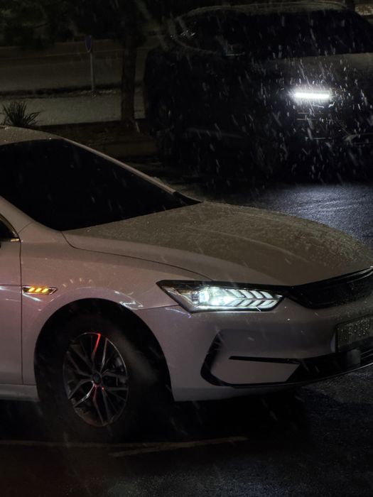 BYD Qin Plus (500KM)