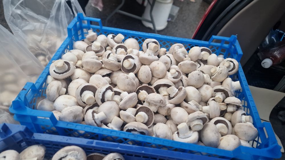 Грибы, шампиньоны свежие