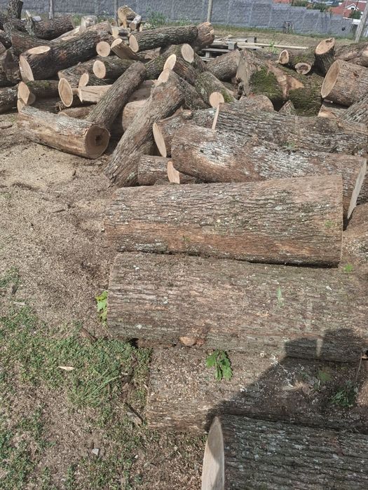 Lemne de vânzare esență tare