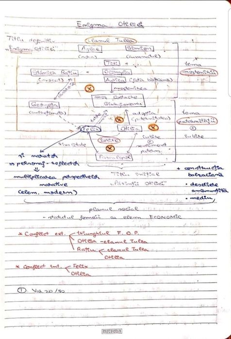 Caiet meditatii romana BAC de 10