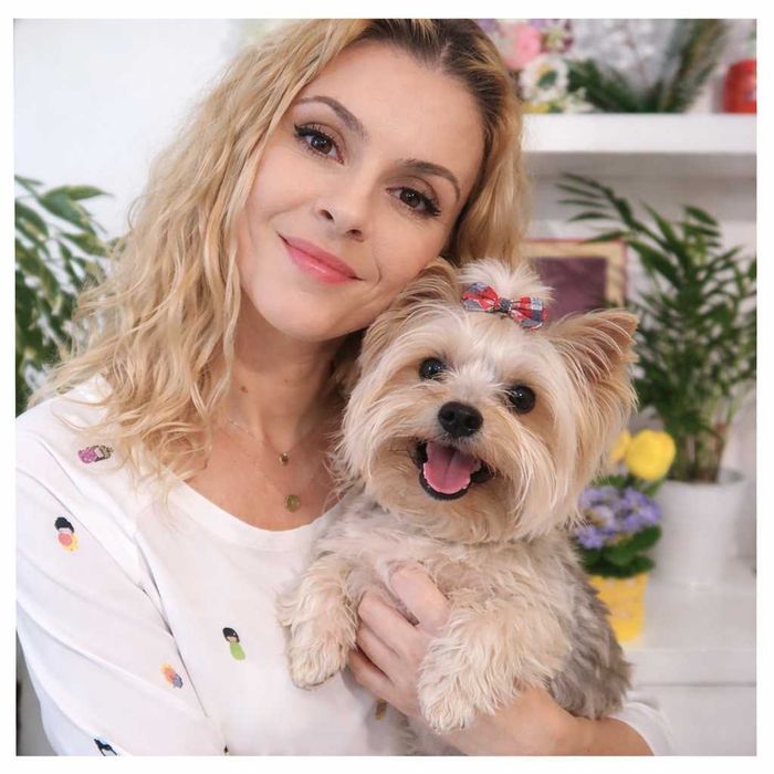 Pet sitter & Dog Walker Sector 6  - câini de talie mică/medie și pisici