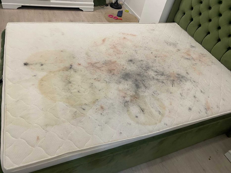 Curățenie Profesională pentru  Canapele, fotolii, saltele, auto