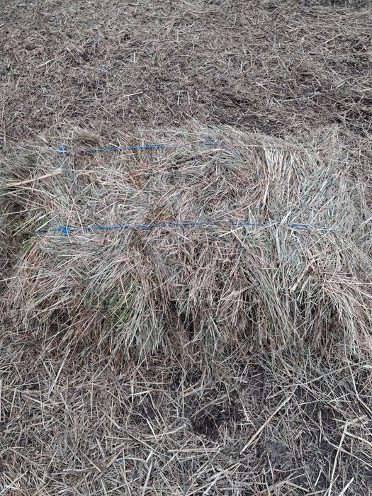 Vand baloti de fan si lucerna.