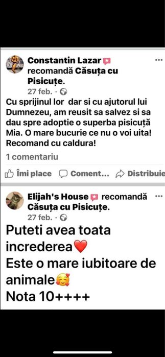 Pet Sitter & Pet Sitting - Dog & Cat Boarding