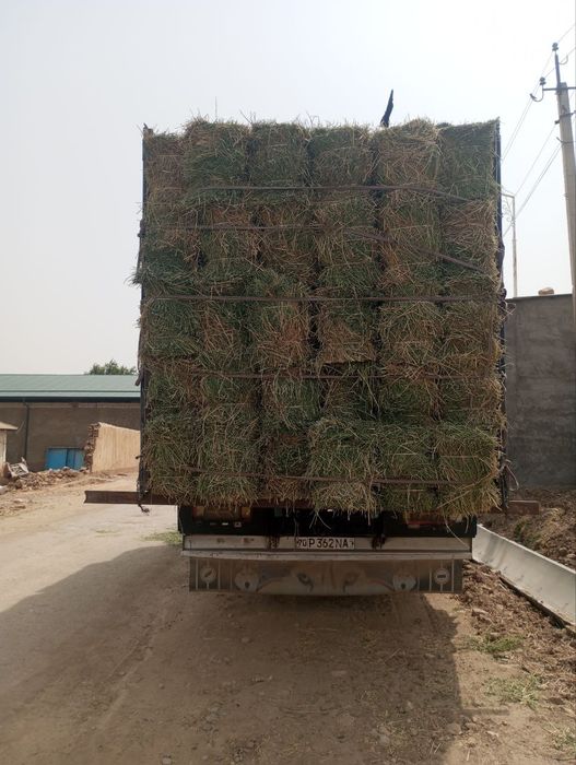 Zil 138.  Zo'r moshina naxadu