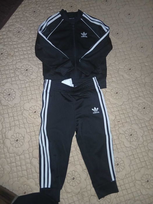 Hainute elegante