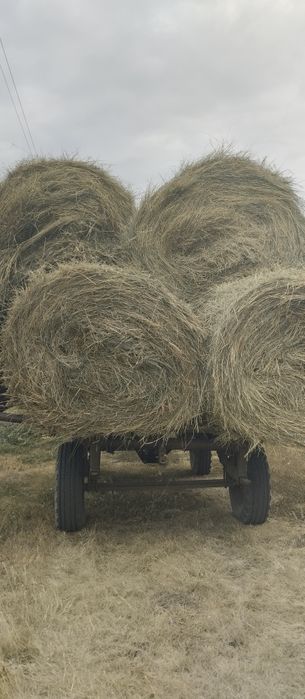 Сено продам сено