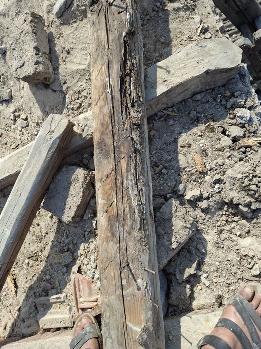 Хамслски услуги чистене къртим,