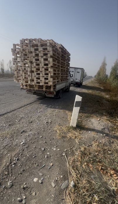 Паддон 80 га 118