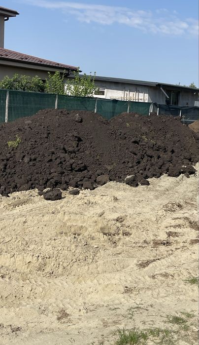 Pământ Vegetal Negru Calitate Superioară, Livrare Rapidă în București!