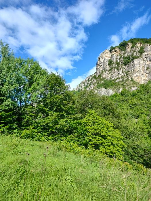 Teren Valea Cernei Băile Herculane