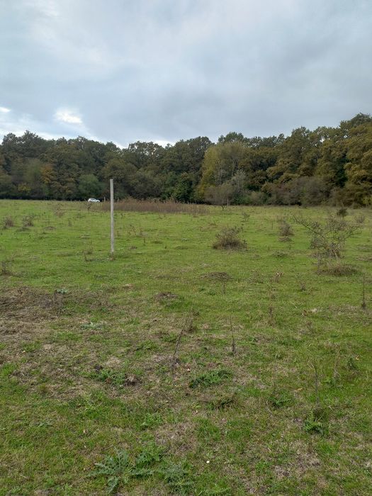 Teren Harman (parcele) extrevilan, construcții A-frame, construcții cabane pe piloni, containare  modulare