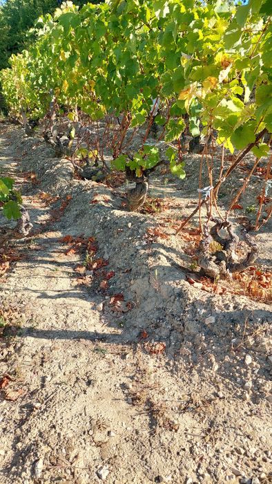 Продава се Къща в Враца, Студентски град - 30 кв.м за 442 €/кв.м - Снимка #8