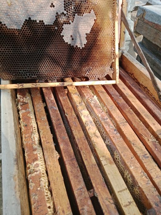 Улья для пчеловодства