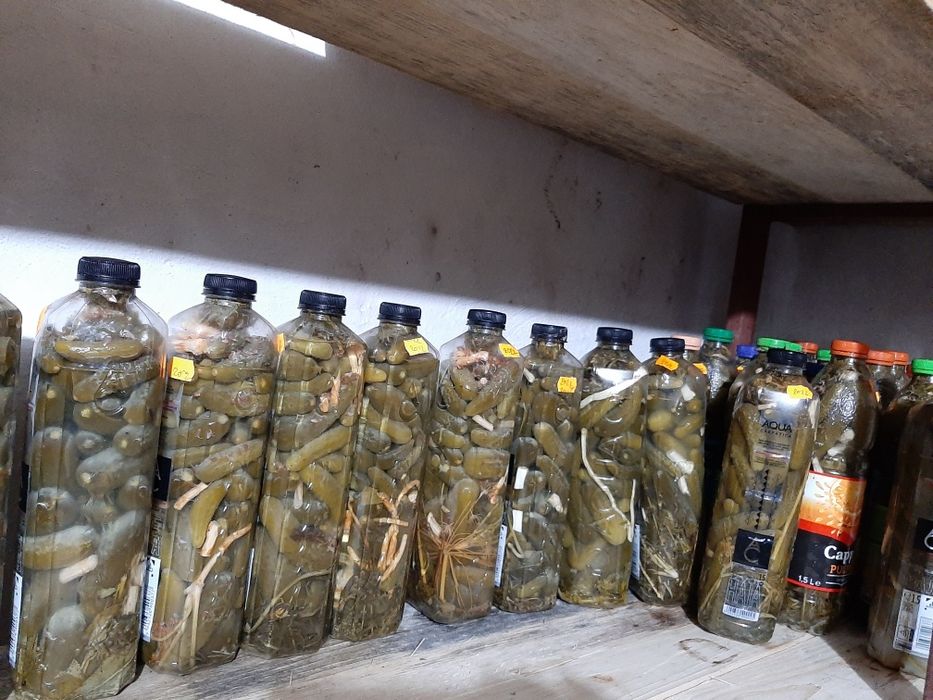 Muraturi(castraveți in saramură)