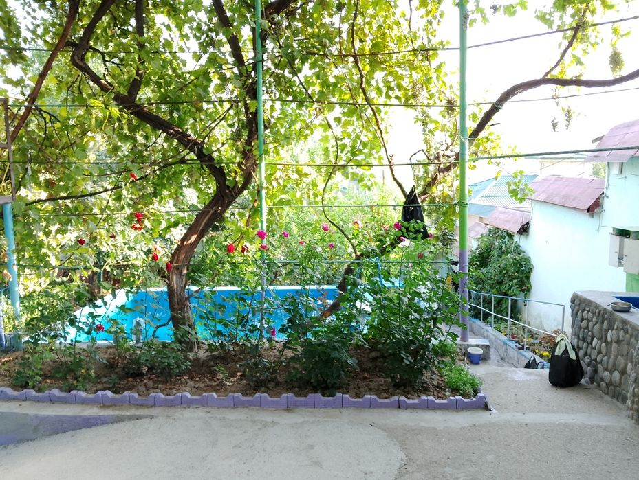 Продается дача! В чарваке