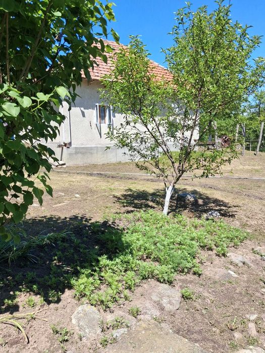 Vand teren si casa in Tomsani, Valcea