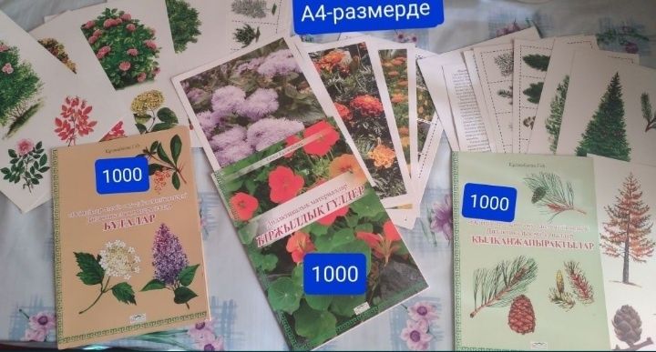 Карточки азбука для детей