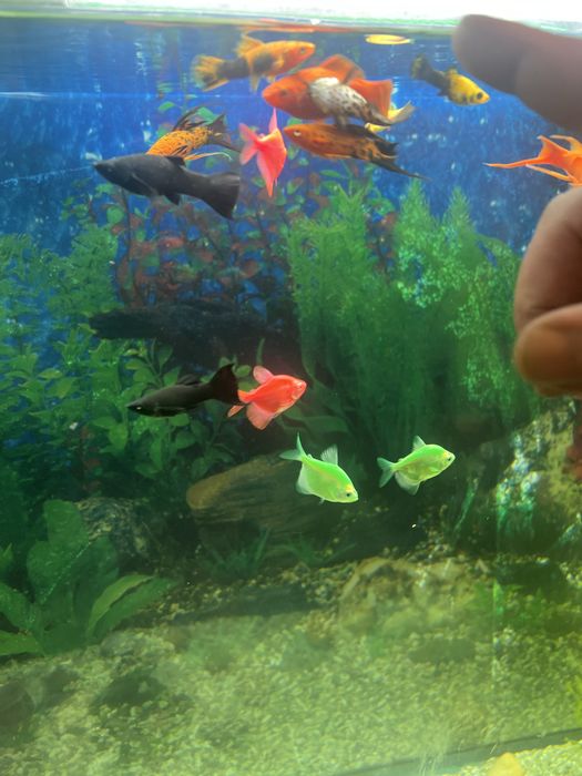 Аквариум заводской 320 литров