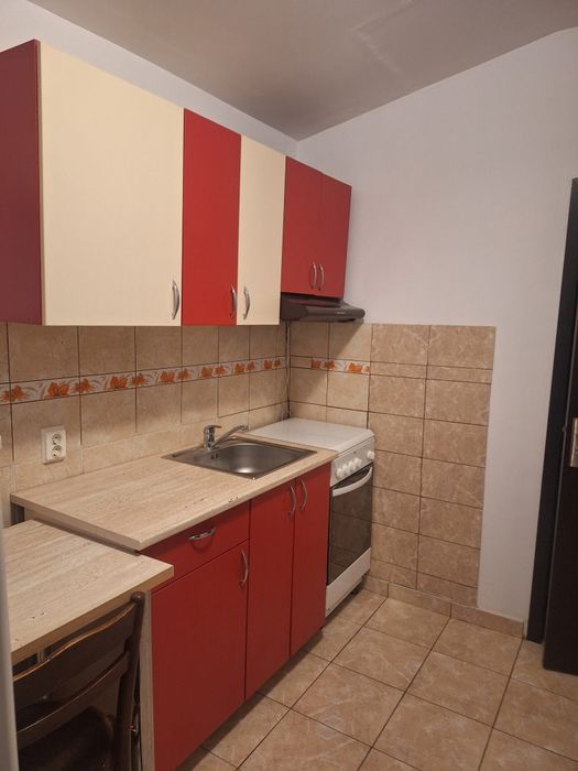 Apartament  1 camera Copou PF