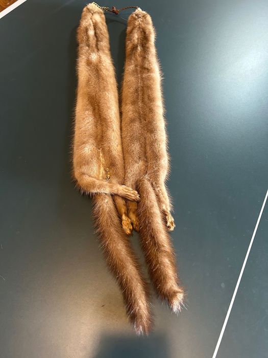 Guler de blana din 2 jderi naturali