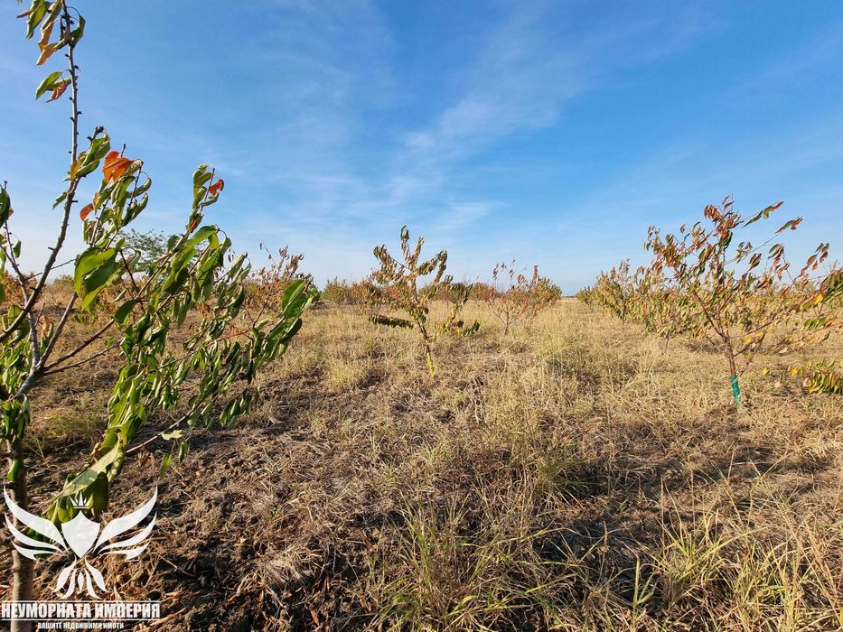 Продава се Земеделски имот в Асеновград -  кв.м за 3009 €/дка - Снимка #9