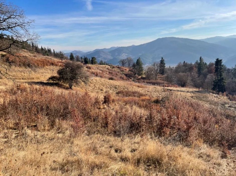 Teren la munte Intravilan