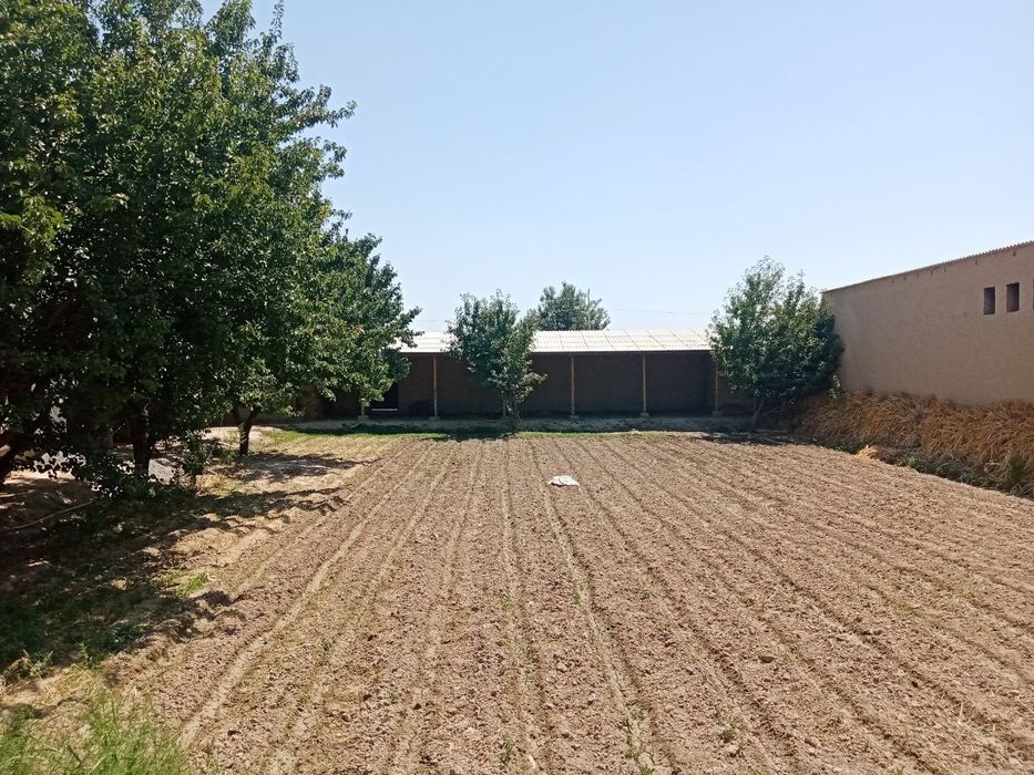 Продам участок в Самарканде