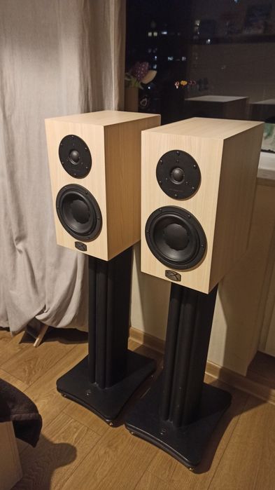 Exproject D2.1EX Swans HIVi Research DYNAUDIO + swans стойки